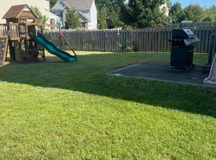 Joshua R.'s lawn maintenance service result
