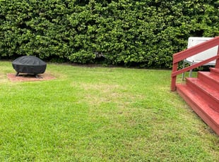 Arthur P.'s grass cutting service result