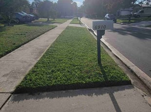 Virginia D.'s turf maintenance service result