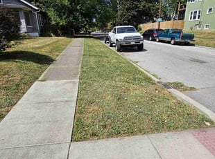 Mike B.'s lawn care services service result