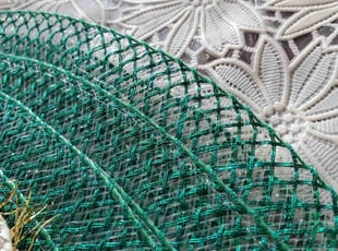 Carrie S.'s Bush Trimming service result