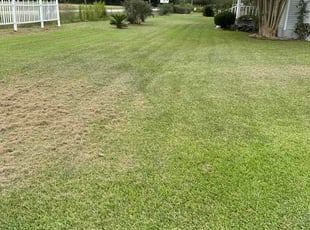 Joseph D.'s turf care service result