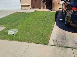 laura S.'s lawn care services service result