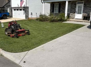 Sandy P.'s grass cutting service result