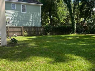 Jeni L.'s lawn service service result