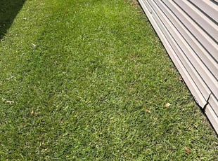 Tim H.'s lawn care service result
