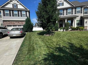 Cathy M.'s turf care service result