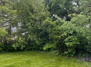 Amanda W.'s grass cutting service result