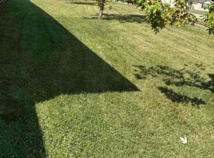 Carlos R.'s lawn care services service result