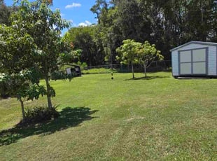 Nyisha H.'s turf care service result