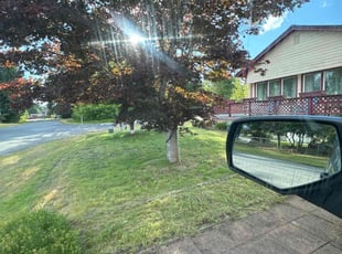 Lawrence C.'s lawn care service result