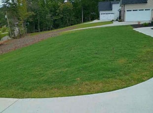 Nieya M.'s grass cutting service result