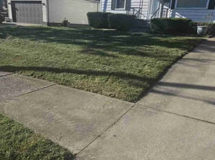 Brian T.'s grass cutting service result