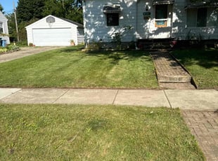 Darnell M.'s lawn service service result
