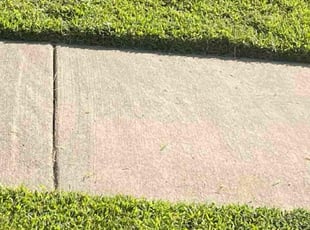 Mark S.'s grass maintenance service result