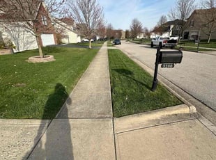 Kelley A.'s grass cutting service result