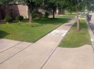 June M.'s lawn care service result