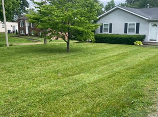 Lameke J.'s lawn care service result