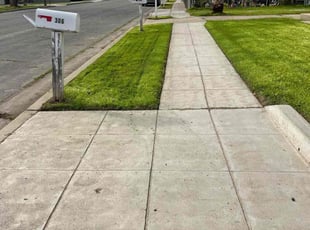 Jose C.'s turf maintenance service result