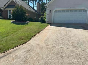 Nydia B.'s lawn service service result