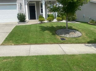 Spandana N.'s grass cutting service result