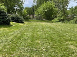 Andrew G.'s lawn care services service result