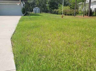 Brian M.'s lawn service service result