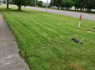 Kim B.'s grass cutting service result