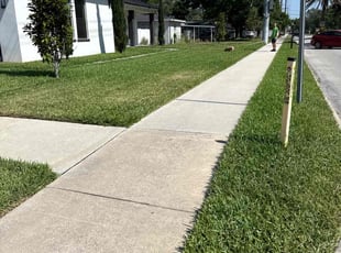 Nikki E.'s lawn care service result