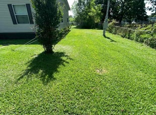 Jaime B.'s turf care service result