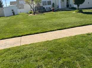 Pat B.'s lawn care service result