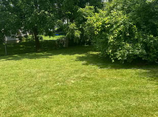 Edward C.'s lawn care services service result