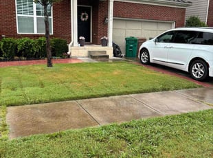 Magesh M.'s turf care service result