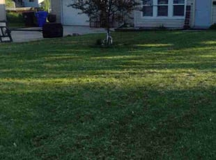 Teri M.'s turf maintenance service result