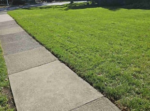 April M.'s lawn service service result