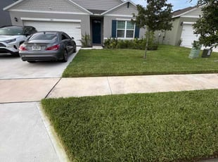 Craig M.'s grass maintenance service result