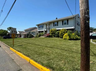 Dale D.'s turf care service result