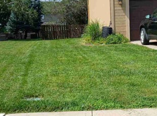 Amanda H.'s grass cutting service result