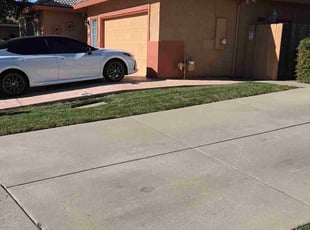 Terri N.'s lawn care services service result