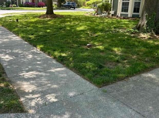 Jenna S.'s lawn care services service result
