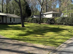 Darrius T.'s grass maintenance service result