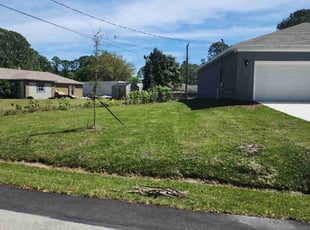 Kenneth B.'s grass maintenance service result