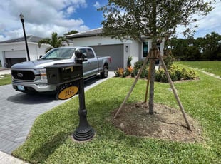 Stacie S.'s lawn maintenance service result