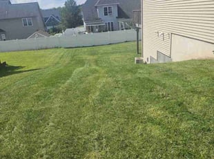 Jeanette D.'s lawn maintenance service result