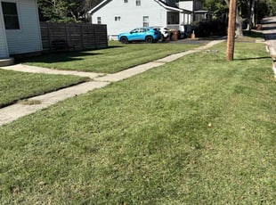 Virginia F.'s grass maintenance service result