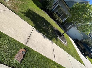Debi H.'s turf care service result