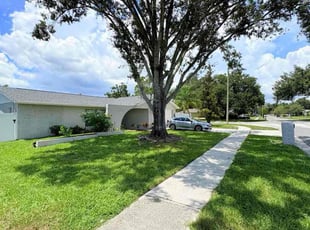 Jason M.'s grass maintenance service result