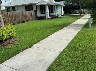 Mark P.'s lawn maintenance service result