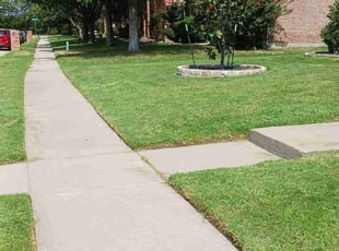 BZ z.'s grass cutting service result