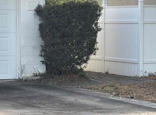 David G.'s turf maintenance service result